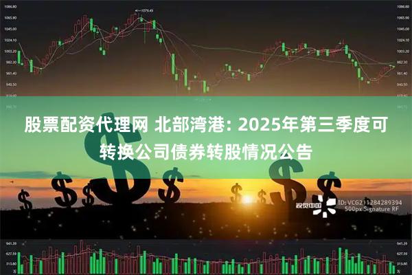 股票配资代理网 北部湾港: 2025年第三季度可转换公司债券转股情况公告